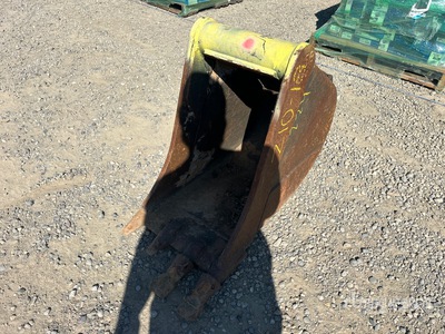 Cat 15 in Digging Excavator Bucket