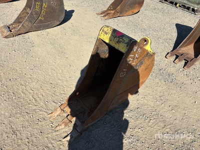 Cat 11 in Excavator Bucket