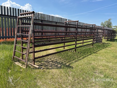 30 ft Aleja dla bydła