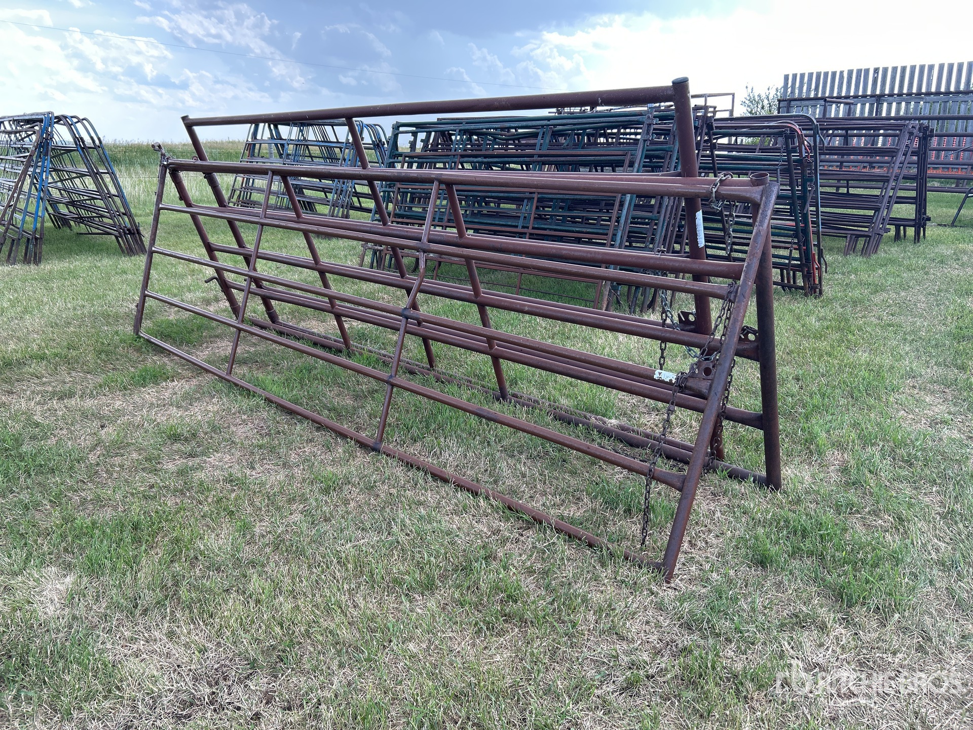 Quantity of (3) Livestock Gate