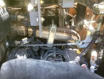 Engine with Exhaust System