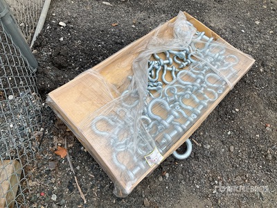 Quantity of (38) 2025 Suhivelee S38 シャックル (Unused)