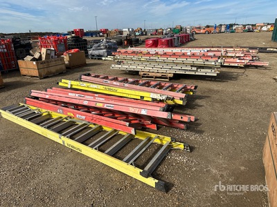 Quantity of (26) Ladder