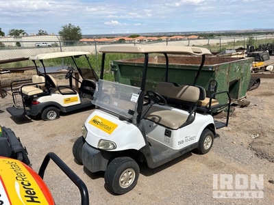 2008 (unverified) Ez-Go RXV Electric Carro de golf