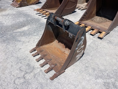 Cat 36 in Bucket