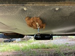 Underbody with Holding Tanks