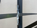 General Appearance with Paint