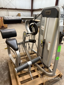 Cybex Eagle Commercial Back Extension Machine