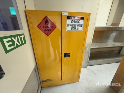 250 L Dangerous Goods Cabinet Divers