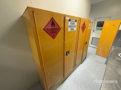 250 L Dangerous Goods Cabinet Divers