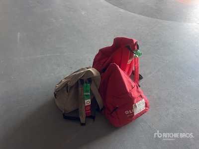 2017 Allrisk XS Platforms Safety Harness