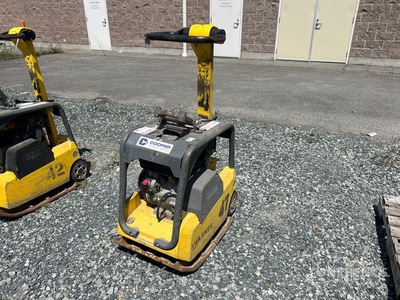 2019 Wacker Neuson Compactadora de placa vibradora