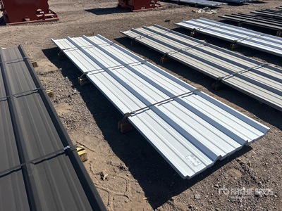 Quantity of 2025 Kit Containers Steel R Panels Materiale edile (Unused)