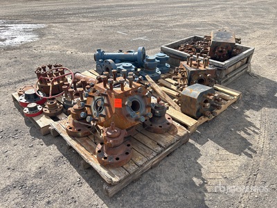 Quantity of Valves, Flanges & Caps