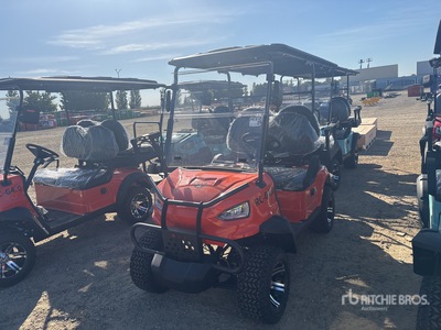2024 Raccoon RC-G4.0 Electric Golf Cart (Unused)