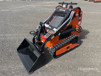 2025 SDLOOL SL36C Mini Kompakt-Raupenlader (Unused)