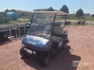 Par Car Golf Cart
