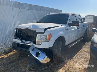 2012 Ford F-150 XLT 4x4 Crew Cab Ophalen