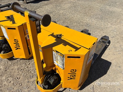 Yale Electric Gato de bandeja