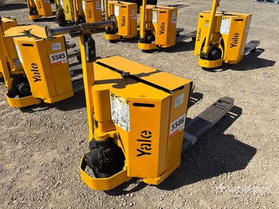 Yale Electric Gato de bandeja