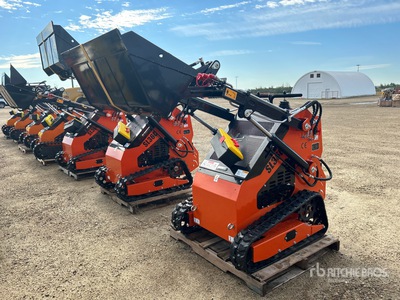 2025 SDLOOL 36C Mini Compact Track Loader (Unused)