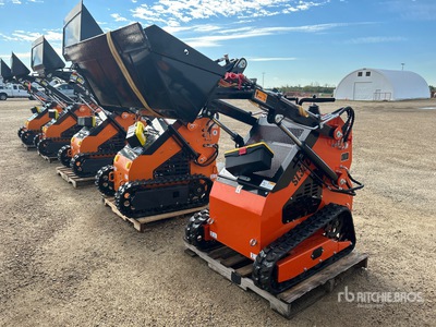 2025 SDLOOL 36C Mini Compact Track Loader (Unused)