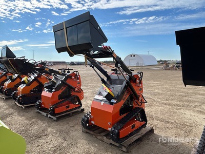 2025 SDLOOL 36C Mini Compact Track Loader (Unused)
