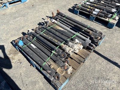 Quantity of Thumb Cylinder