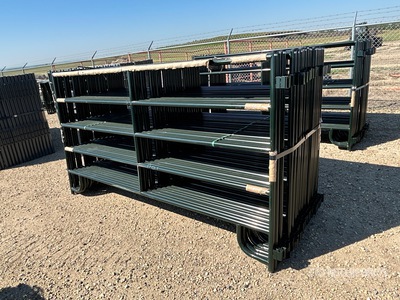 Quantity of (24) 2025 BYT MDRP96 9 ft 6 in Ranch Vee Paneel (Unused)