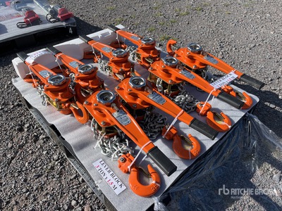 Quantity of (8) 2025 Lote de Polipastos (Sin Usar) / Lever Block (Unused)