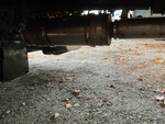 Engine with Diesel Particulate Filter