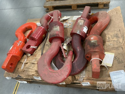 (24) Assorted Hoist Hooks