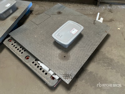 Weigh-Tronix ZM201 4 ft x 4 ft 3000 lb Platform Schaal