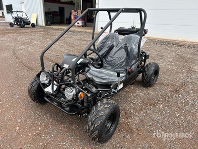 2022 Tao Tao Gocart (Unused)