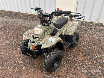 2021 Tao Tao 4x2 ATV (Unused)