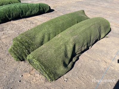 Quantity of (2) Synthetic Turf その他 - 店舗 & 倉庫