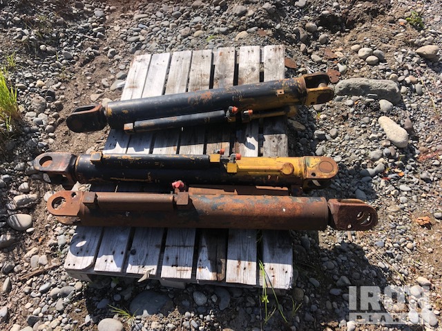 zdjęcia i nagrania wideo