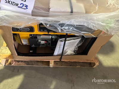 Dewalt 8000 Watt Generator Set