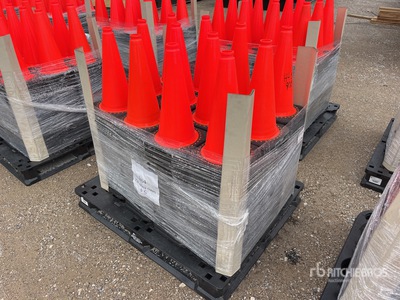 Quantity of (250) Cônes d'autoroute