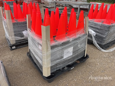 Quantity of (250) Cônes d'autoroute