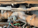 Engine with Exhaust System
