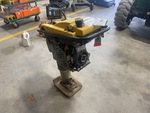 Picture, Left Rear Corner