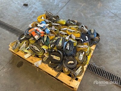 Quantity of E-Track Cargo Control Ratchet Straps