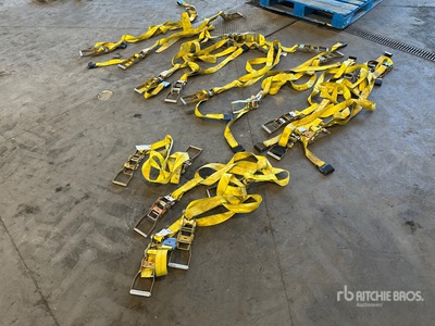 Quantity of Vehicle Cargo Control Ratchet Straps