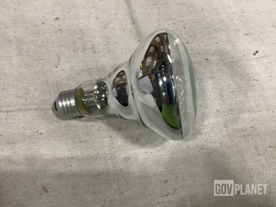 (461) Pacific Custom Components 110R30/FL/RS Incandescent Lamps