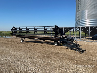 2005 Westward 3020 30 ft Pull Type Swather Hileradora