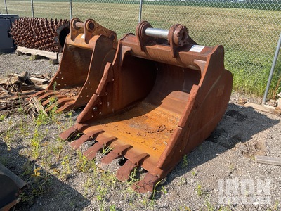 Cat  57 in Digging Excavator Bucket