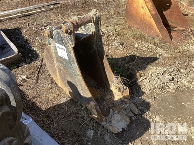 Cat  12 in Digging Excavator Bucket