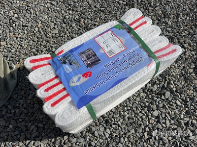 Quantity of (20) Heavy Duty Industrial Polyester Lifting Strap 2in x 9.8 ft 4400 lbs (Unused)