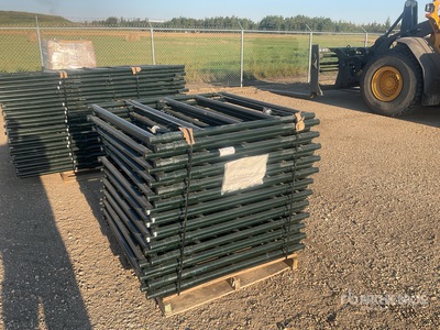 Quantity of (24) 2025 BYT SFGTE04 3 ft 6 in x 3 ft 11 in Frame 1,5/8th Tubing Brama dla bydła (Unused)